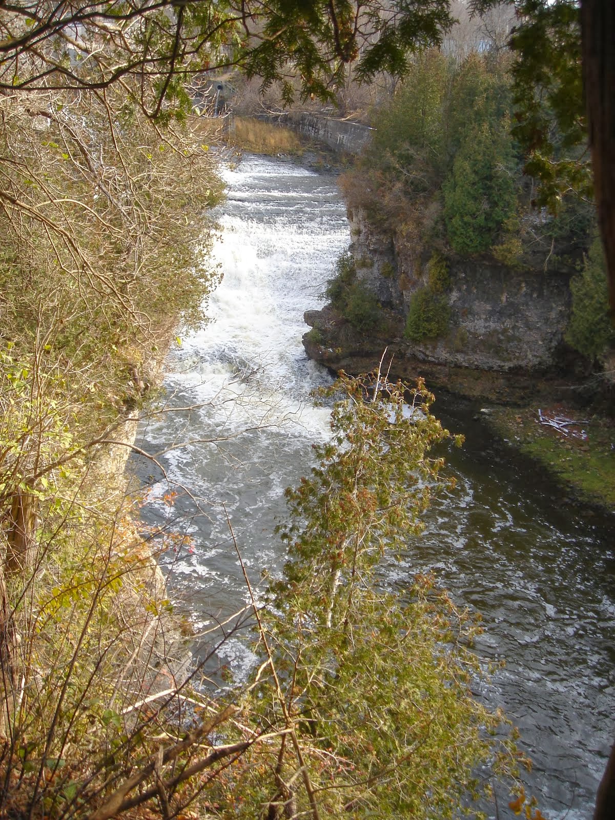 Elora Gorge