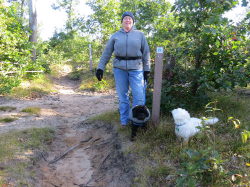 hiker and dogs