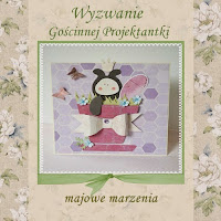 Wyzwanie Gościnnej Projektantki