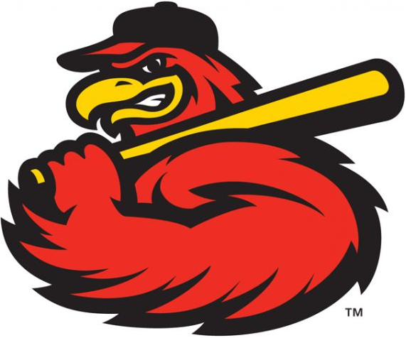 The Birdist: Grading Bird-themed Minor League Baseball Teams