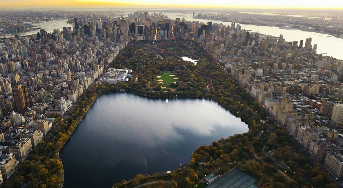 robert smithson central park essay robert smithson central park essay