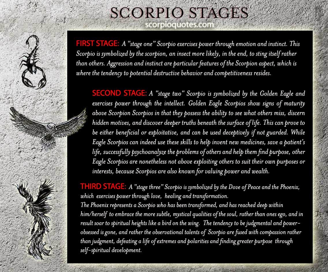 Scorpio Stages | Scorpio Quotes