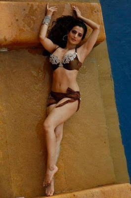 Amisha patel hot in bikini