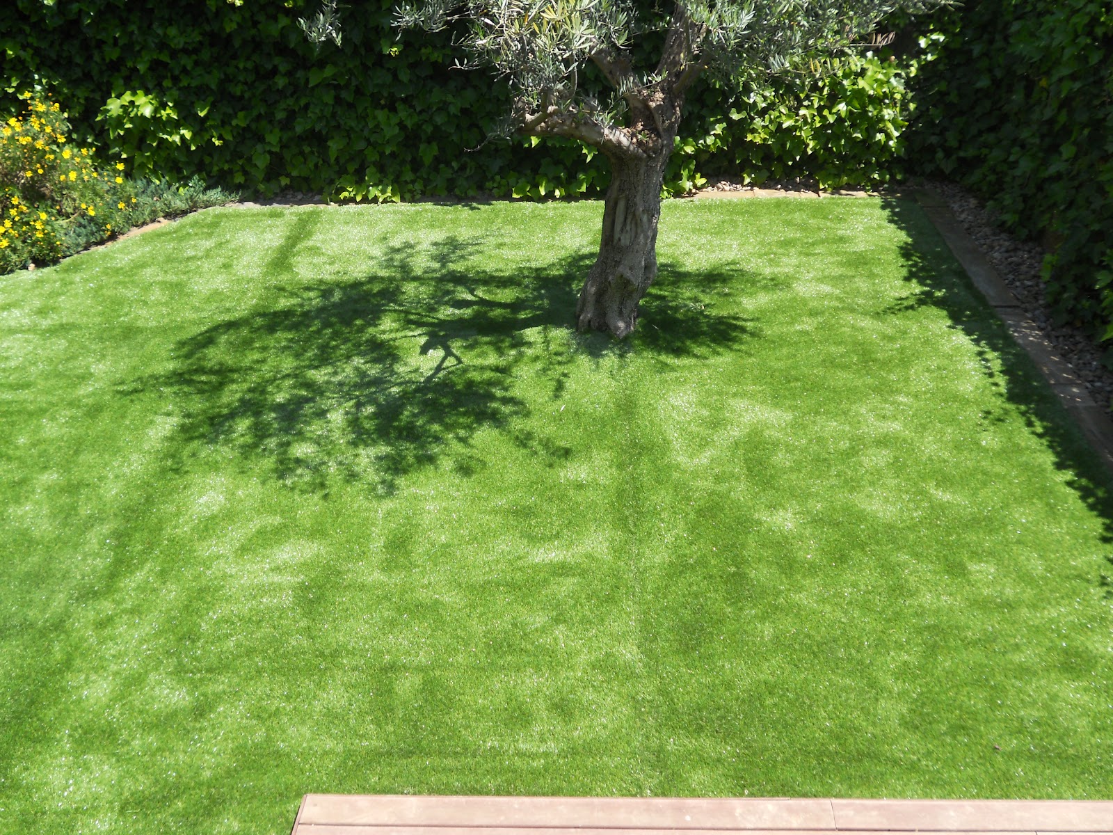 Jardineria Eladio Nonay: Jardinería Eladio Nonay: CÉSPED ARTIFICIAL