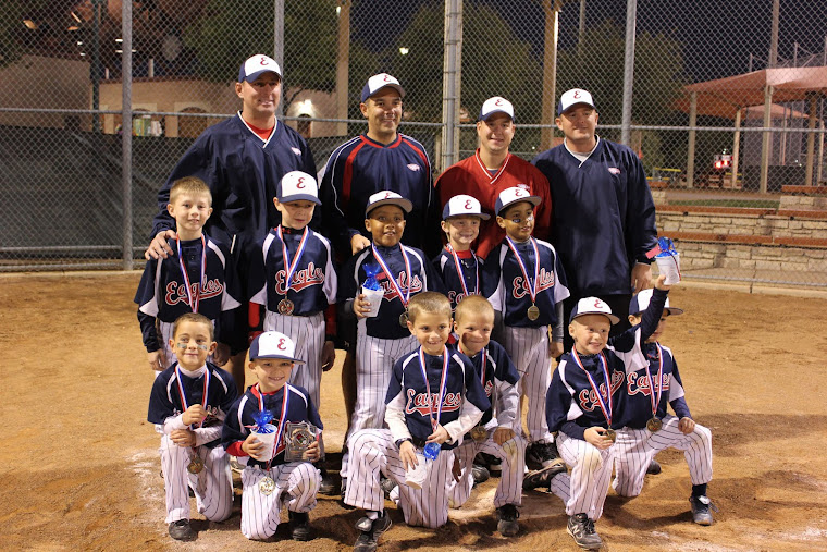 North Texas Eagles Baseball March Madness