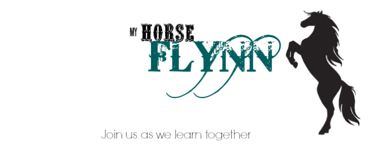 Flynn's training blog