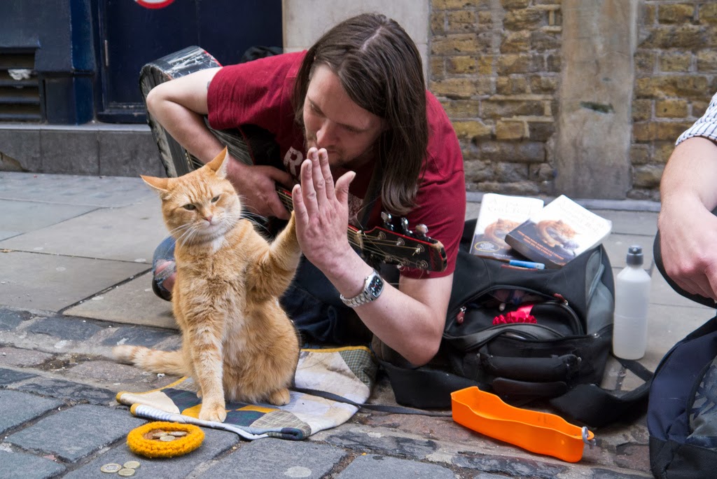 A Street Cat Named Bob Books Collection