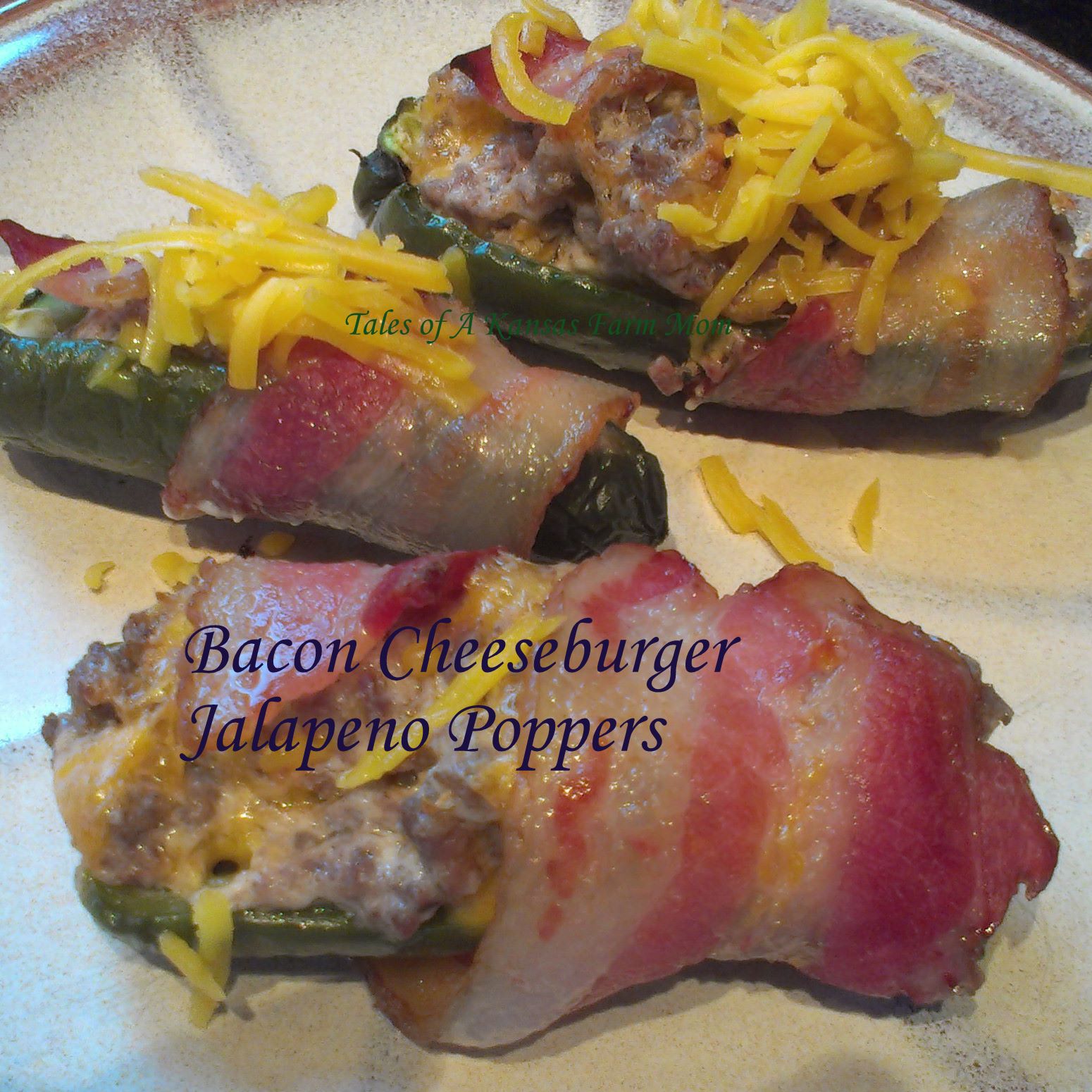 Tales of a Kansas Farm Mom W4DWBacon Cheeseburger Jalapeno Poppers