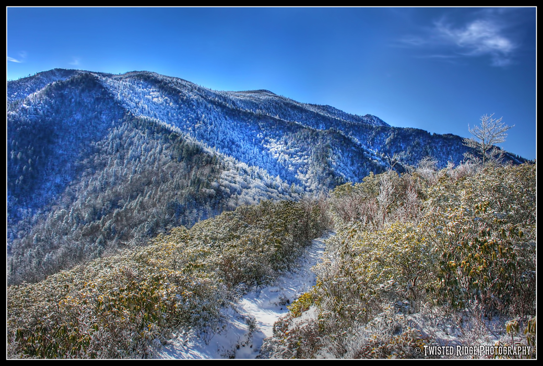 The Smoky Mountain Hiking Blog March 2014