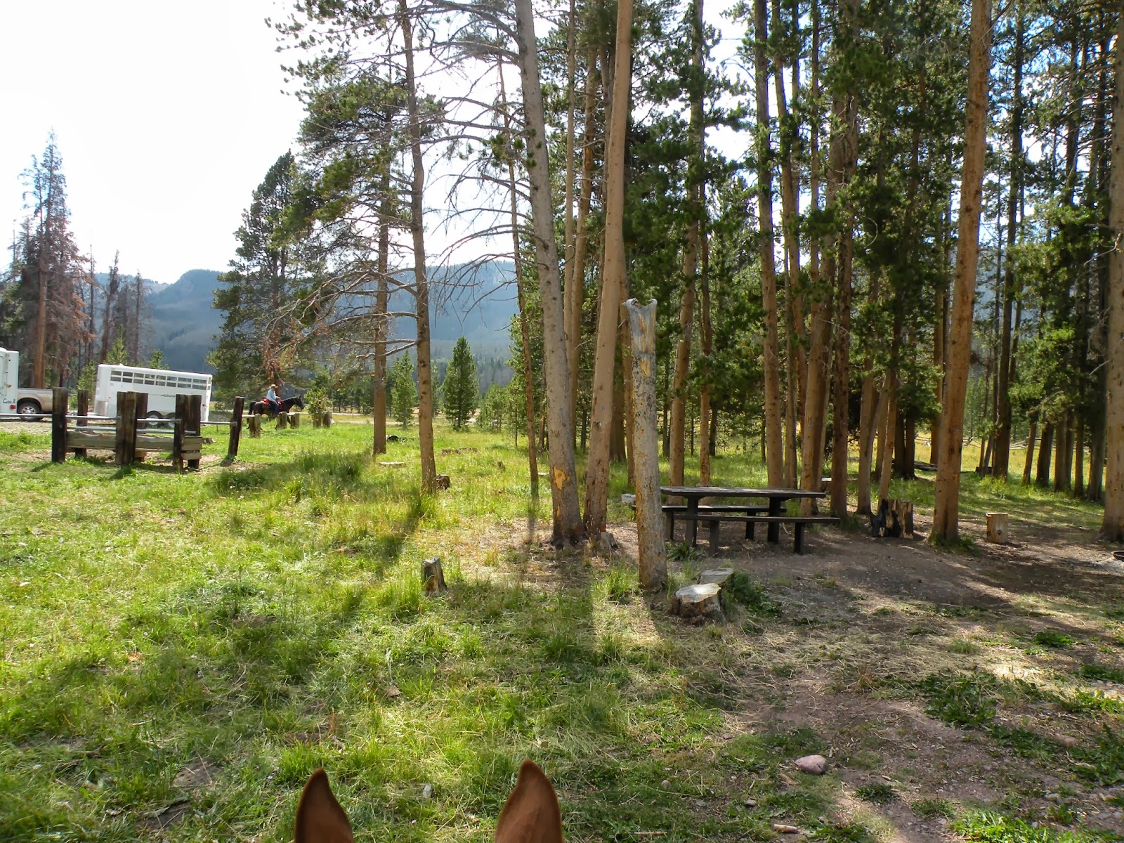 Dream Packer Trail Adventures East Fork Black's Fork, Uintas, Utah
