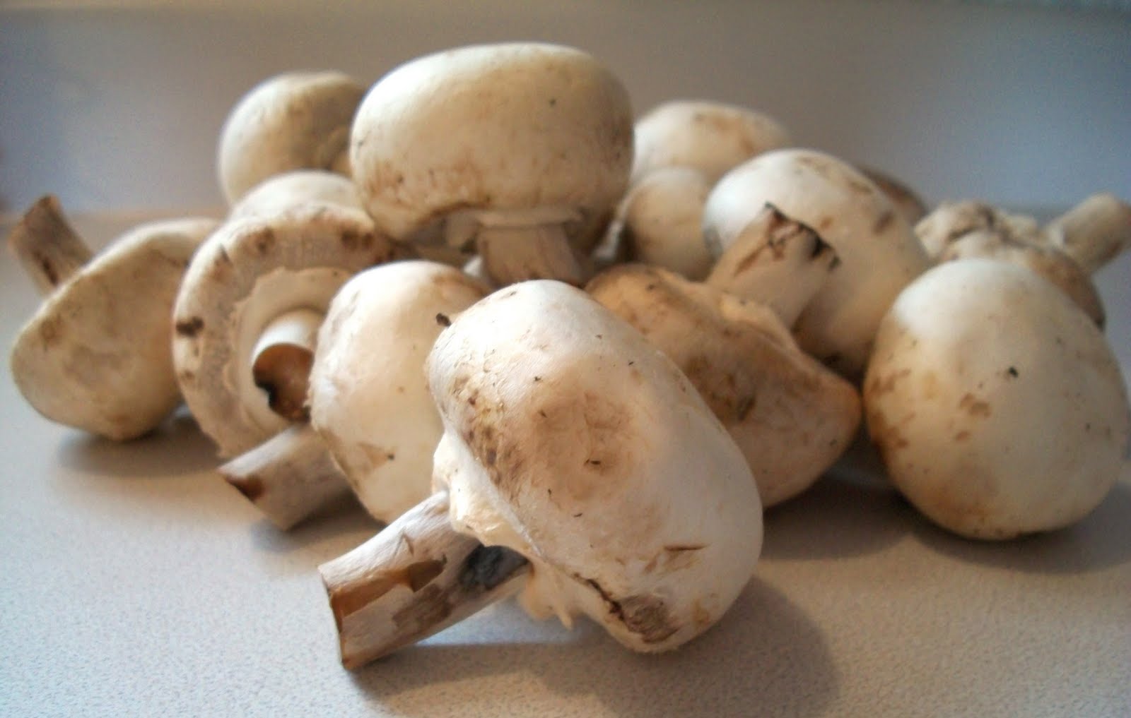 My Kind of Cooking Mushroom Tips
