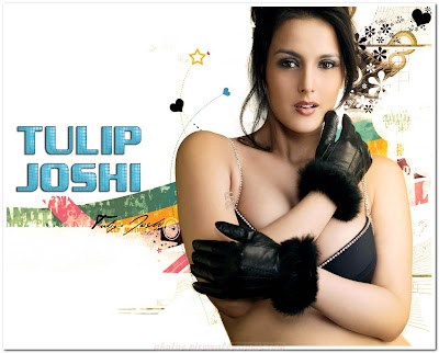 Tulip Joshi Bollywood Hot actress Pictures, biography | Hot ...