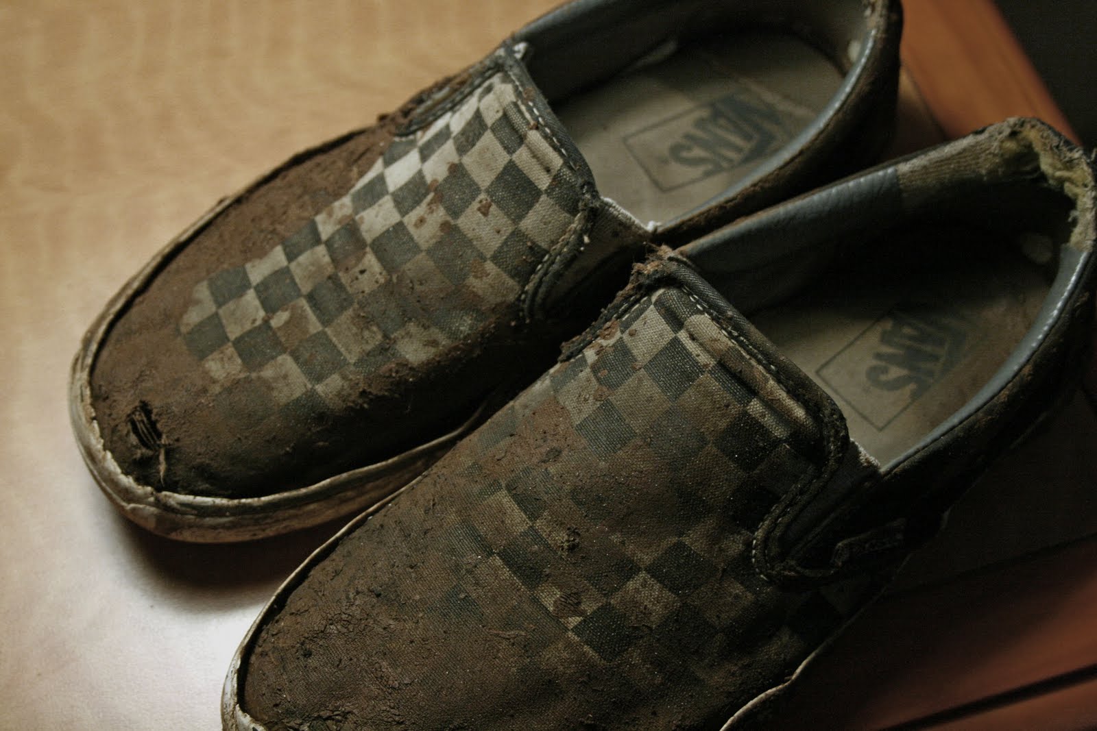 hiking in vans shoes