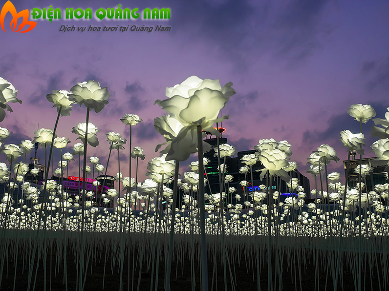 [Image: Kham-pha-vuon-hoa-hong-den-LED-o-Han-Quoc-6.png]