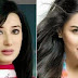 Which Pakistani Actresses Have Successful Plastic Surgeries