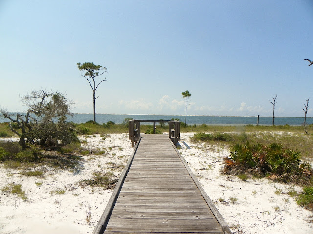 beach communities in Pensacola Trout Point Nature Preserve over Big Lagoon