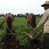 Editorial/ Invertir en el campo, tema olvidado