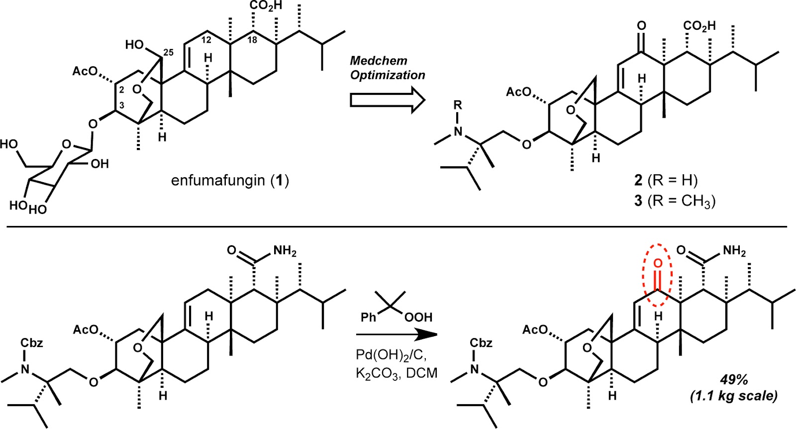 modern steroid science Semisynthetic Terpenoid Antifungal Agents from