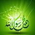 التاريخ الإسلامي والسيرة النبوية وترجمة العلماء والمصنفين