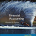 Solution Manual Financial Accounting 4e by Wild (Repost Nov-2015)