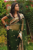 Actress, madhurima, hot, navel, photos, in, saree