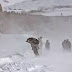 PM writes to Afghan President Dr. Ashraf Ghani, condoles loss of lives in avalanches