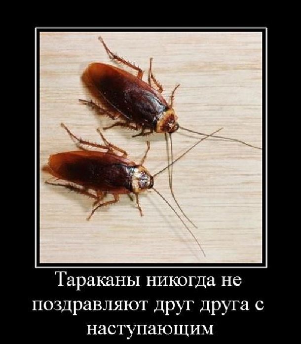 Ремонт форсунок фиат дукато 2 3 своими руками Ремонт форсунок фиат дукато 2 3 своими руками