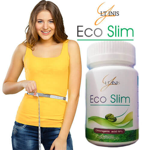 Original Eco Slim