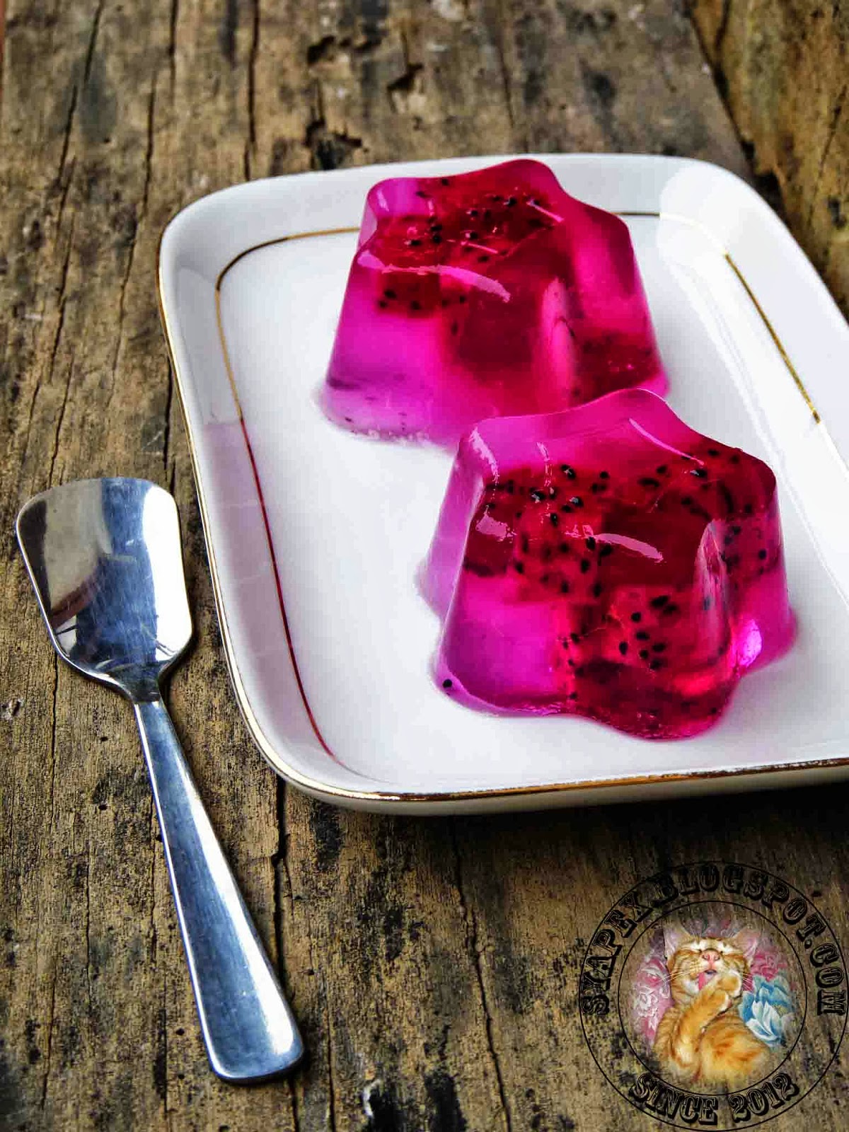 syapex kitchen Konnyaku Dragon Fruit Jelly
