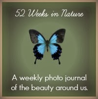 52 Week in Nature