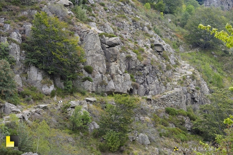 chemin ardéchois photo pascal blachier