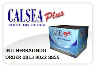 calsea-plus-kalsium-tinggi-perawatan-tulang-keropos-osteoporosis-natural-nusantara-nasa.jpg