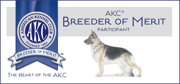 AKC Breeder of Merit