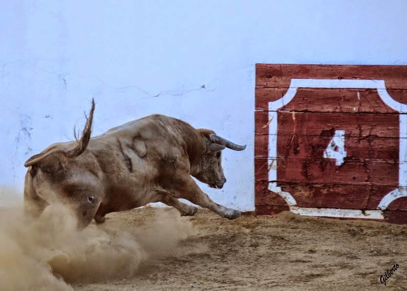 ambitotoros Sobre los pitones de los toros de Prieto de la Cal En Zalamea