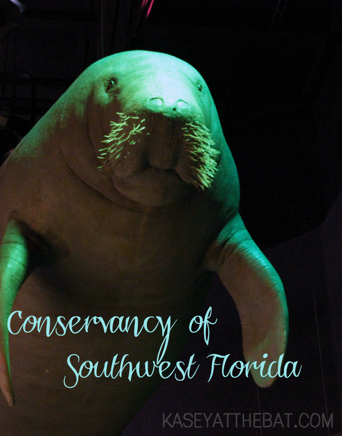 Conservancy of Southwest Florida Kasey At The Bat