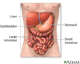 What is stomach flu?