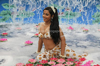 Vidya balan hotdeep cleavage in dirty picture