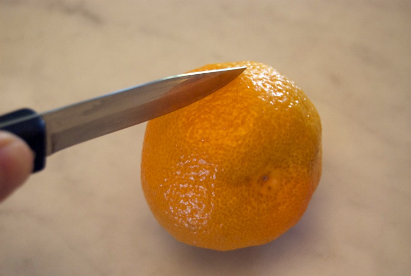 unschool plus satsuma lamp