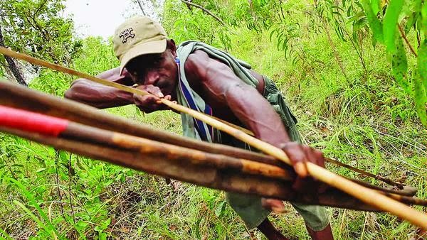 Cabik Lunik Tanah Air Hidup Mereka Bertumpu Di Rawa Biru