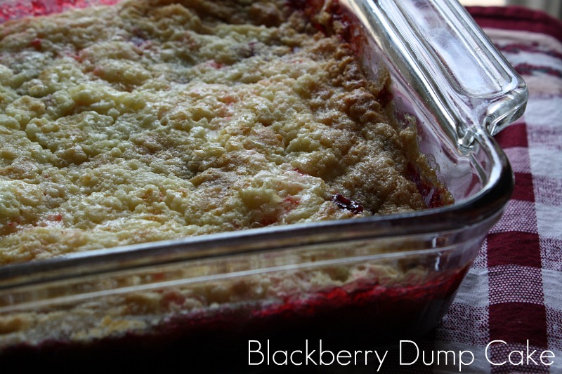 Blackberry Dump Cake Recipes Blackberry Dump Cake Recipes