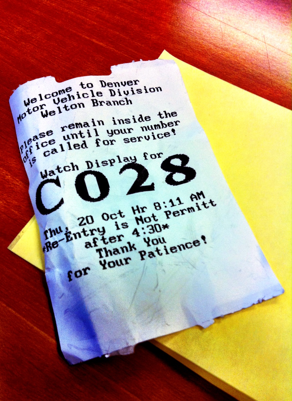 the d.m.v. and other things The Curious Plate