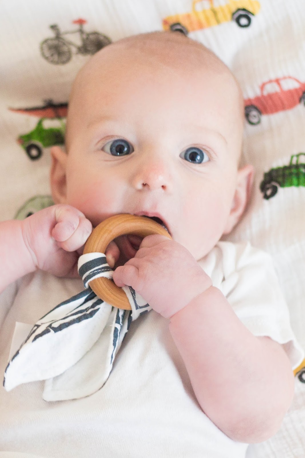 do it yourself divas Our Favorite Teethers Rad Revolution