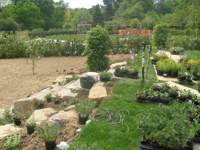 greencube garden and landscape design, UK: May 2011