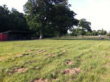 view across from the ducks to the barn