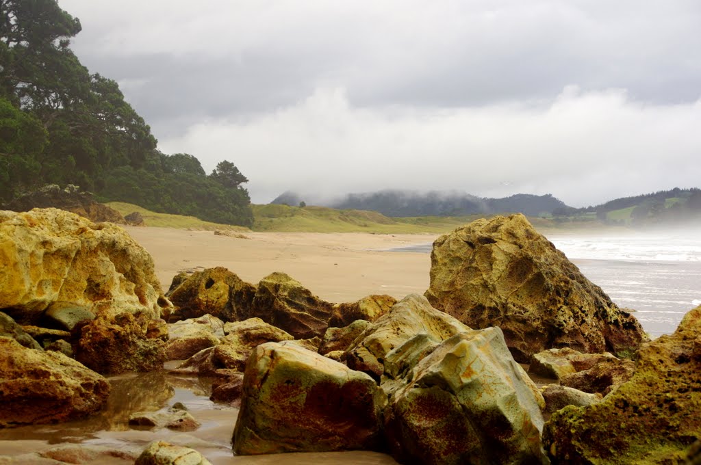 rencontre avec le ranger vert 1re partie