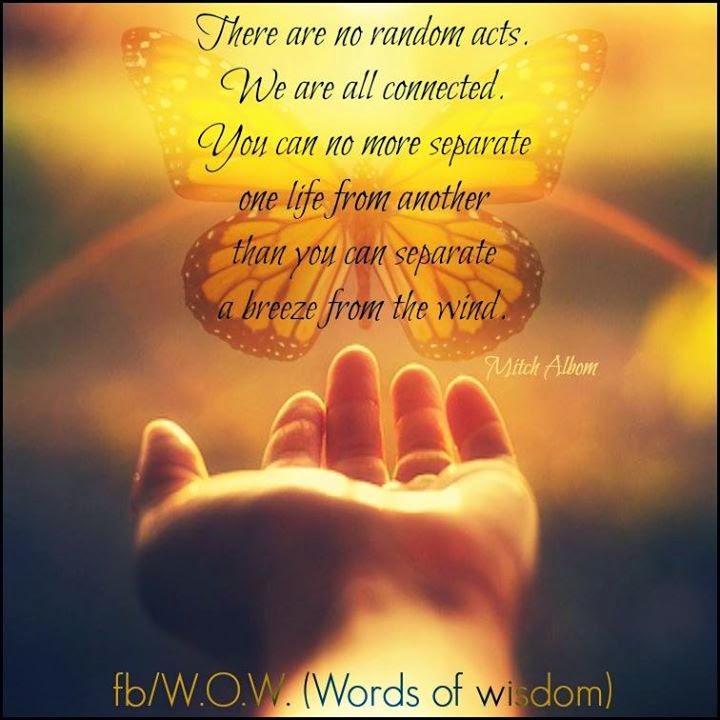 We Are All Connected Quotes There Are No Random Acts, We Are All Connected. You Can No More Separate  One Life From Another Than You Can Separate A Breeze From The Wind. - Quotes