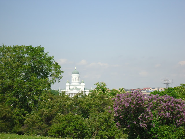 DSC01684.JPG