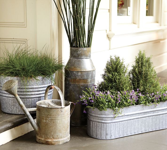 Galvanized Metal Tubs, Buckets, & Pails as Planters Driven by Decor