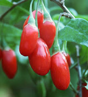 Gojiberries
