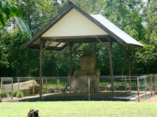 Ribang Gayau